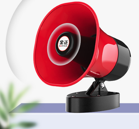 Speaker Bluetooth amplifier with recording capabil
