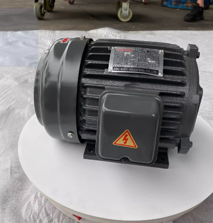 Hydraulic motor with oil pressure motor inserted into the inner shaft