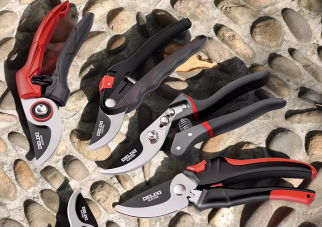Pruning branches, gardening scissors, pruning branches, garden scissors, pruning fruit trees