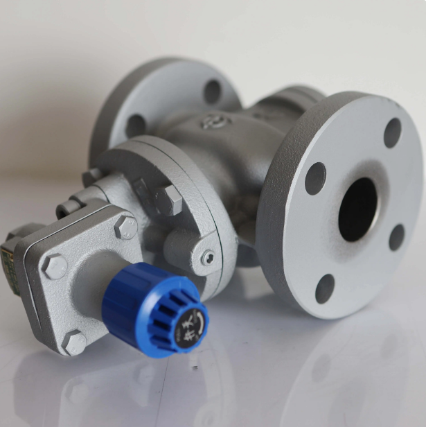 RP6 pressure reducing valve pilot steam VENN pressure reducing valve