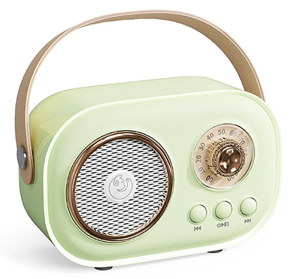 Portable Bluetooth stereo with microphone wireless birthday gift Christmas gift